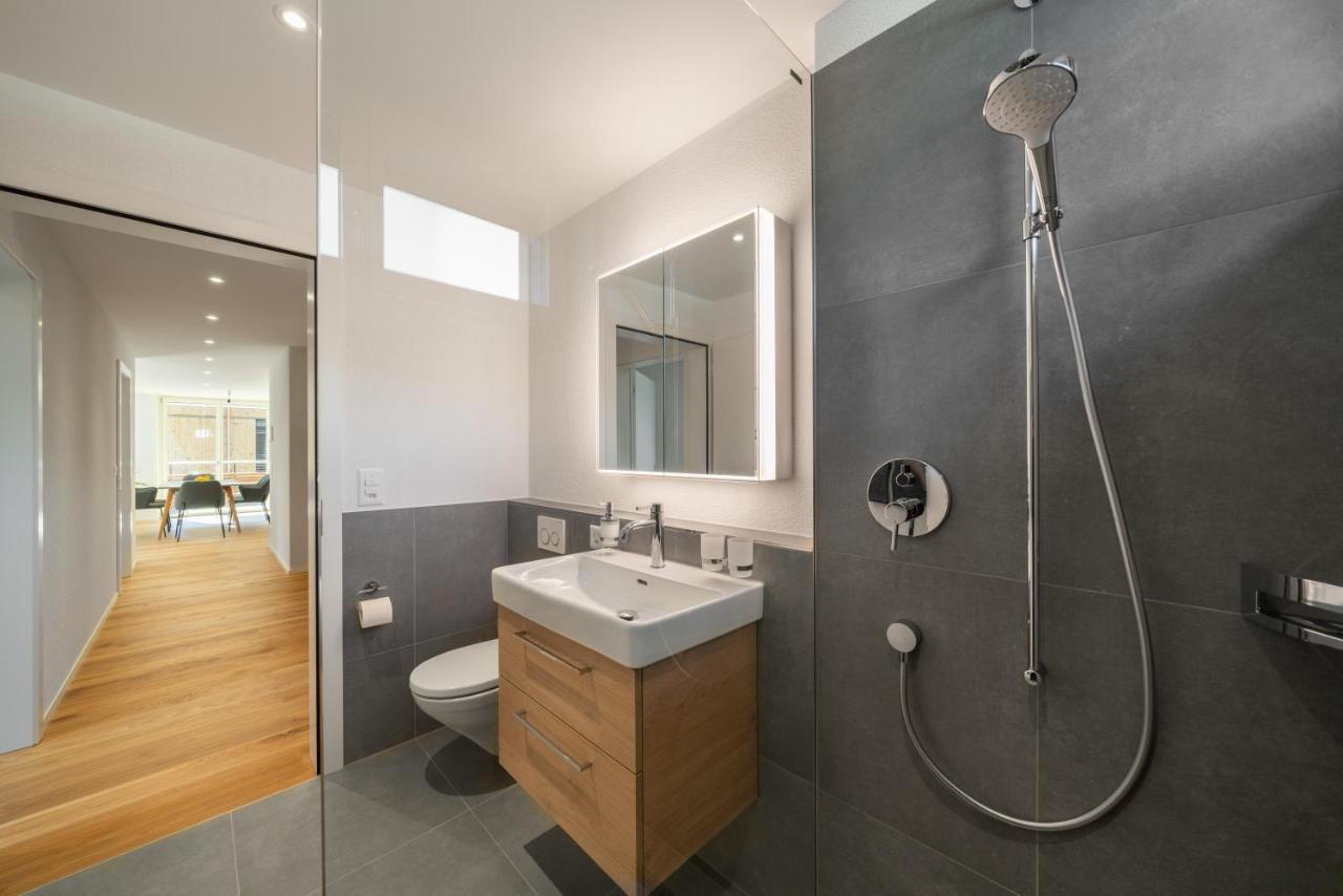 Moderne Neubauwohnung In Wilderswil Dış mekan fotoğraf